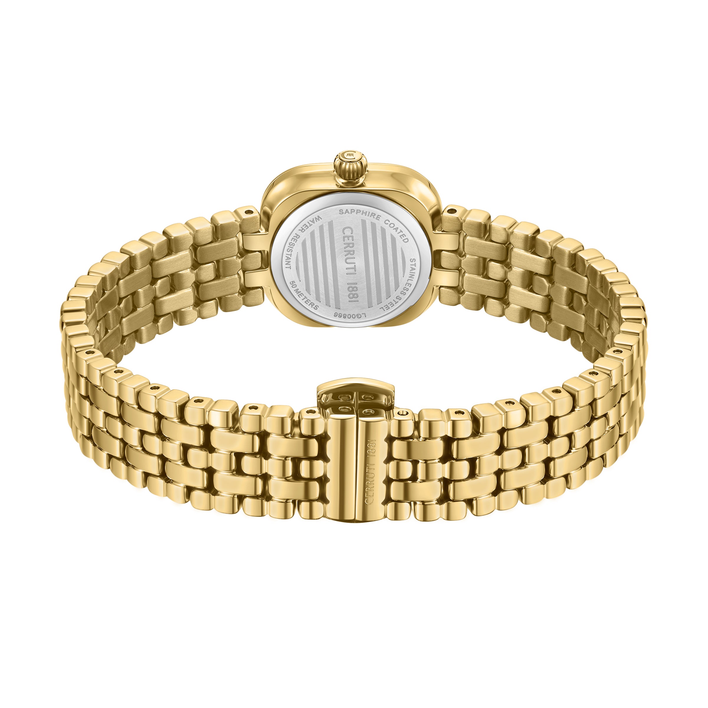 Casena Women's Analog Watch
