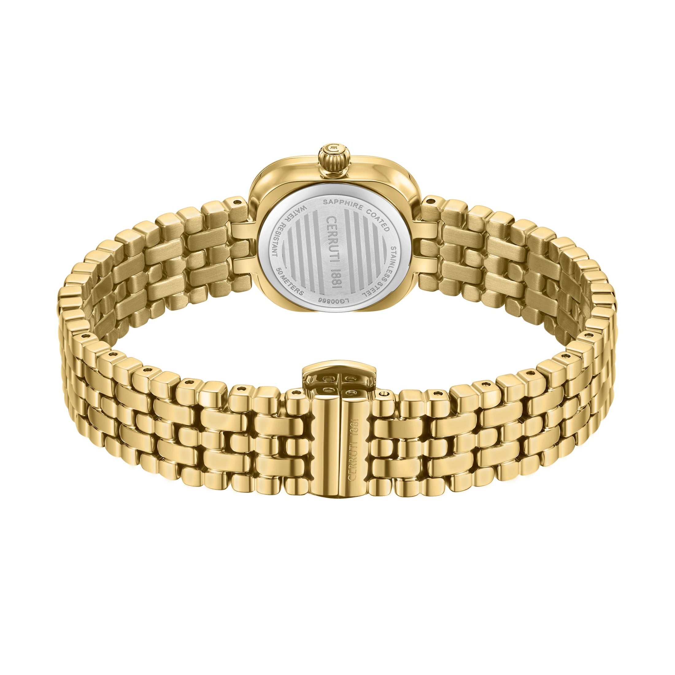 Casena Women's Analog Watch