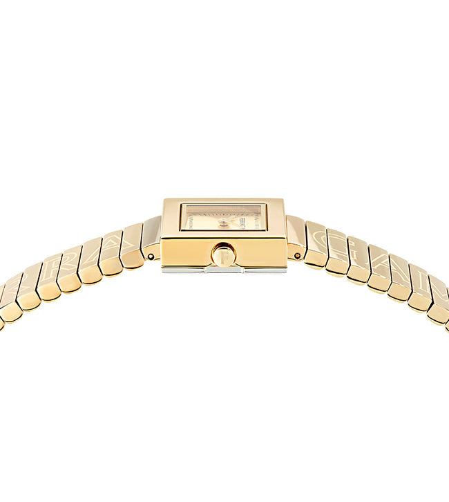 Salvatore  Ferragamo Portrait Gold / Champagne